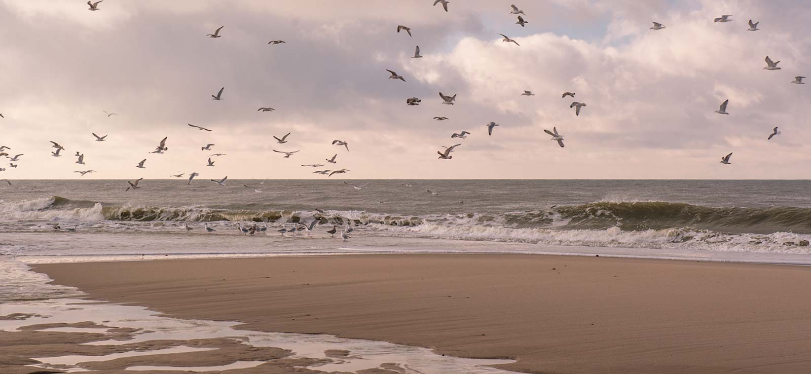 Sylt-Impressionen24